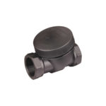 25mm Hansen Check Valve BSPT