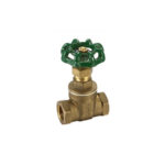 20mm Brass Gate Valve - AS / NZS Watermark