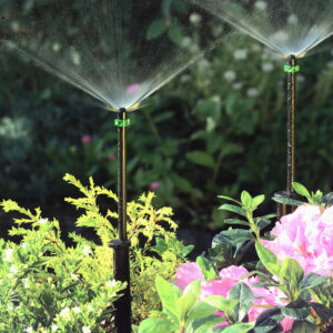 Spray Jets water