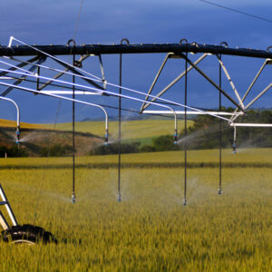 Nelson Part Circle Pivot