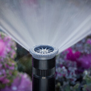 spray 3