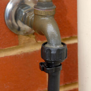nuttail on tap
