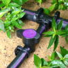 fittings-valve-purple-back