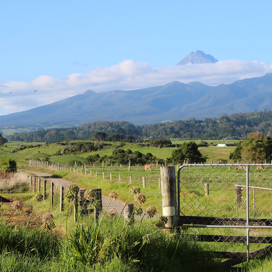 agri new zealand3