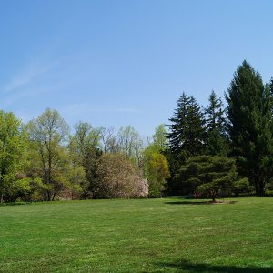 Recreational Parks