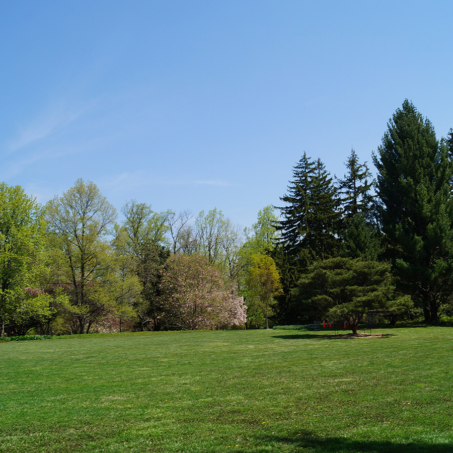 park-hero-image