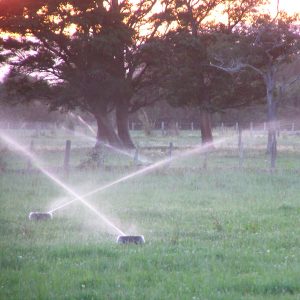 Pod Irrigation