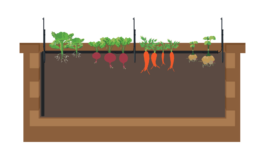 veggie-garden-with-Sprinklers-cut-out