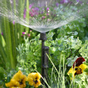 antelco spectrum spray