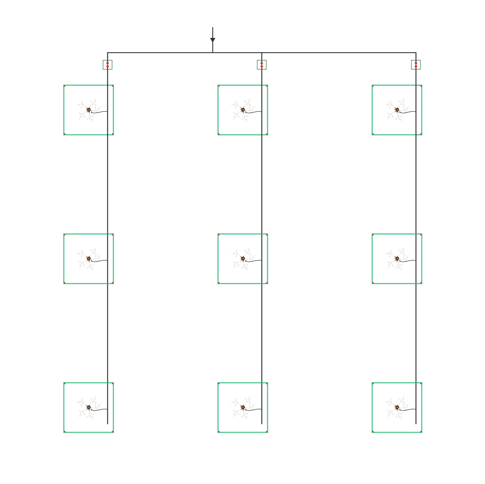 avo-tree-supernet-grid