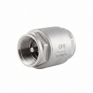 Stainless steel threaded check valve on white background