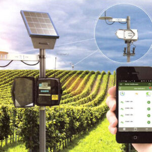 Smartphone controls vineyard irrigation with solar panel technology.